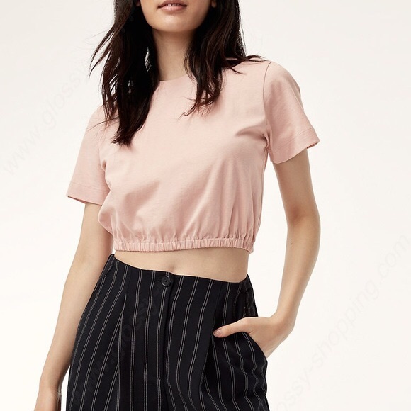 Aritzia Wilfred Piaf T-shirt